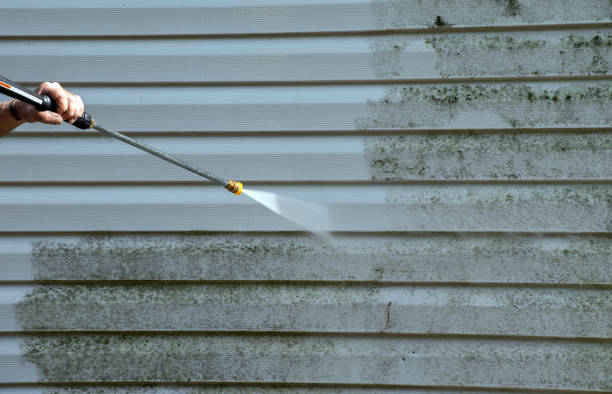 Best Pressure Washing Siding  in Deville, AL