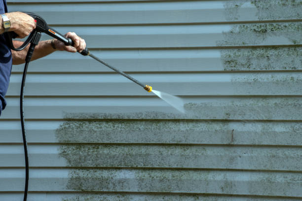 Local Pressure Washing Services in Daleville, AL