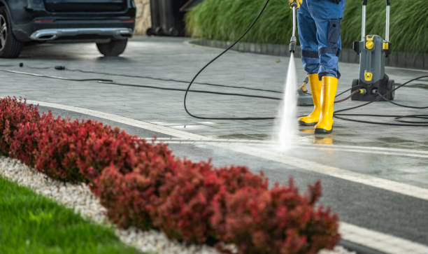 Best Affordable Power Washing  in Deville, AL