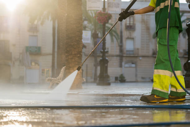 Best Local Pressure Washing Services  in Deville, AL