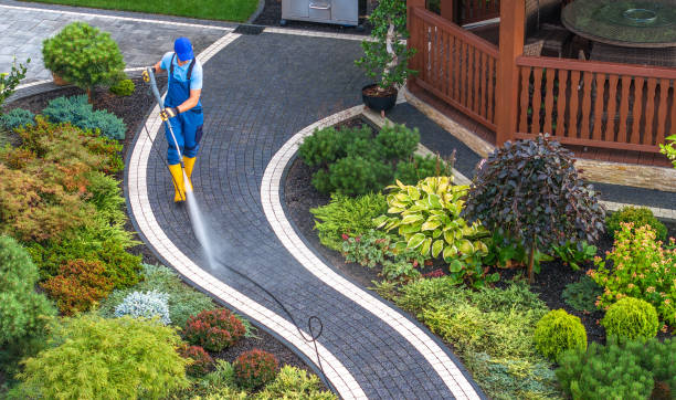 Best Sidewalk Pressure Washing  in Deville, AL